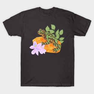 Fire-Bellied Toad and Honey Calcite T-Shirt